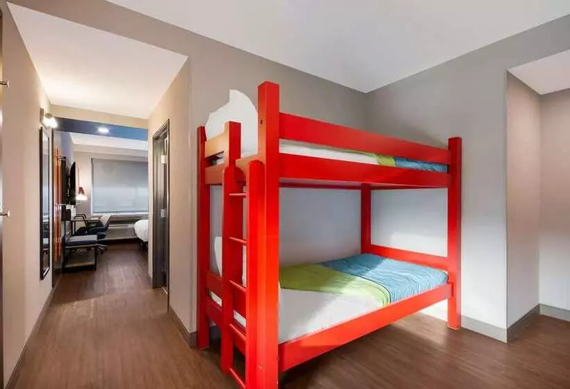 اتاق اجرایی با تخت بزرگ, Hilton Charlotte University Place