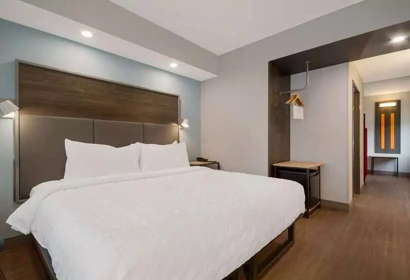 اتاق اجرایی با تخت بزرگ, Hilton Charlotte University Place