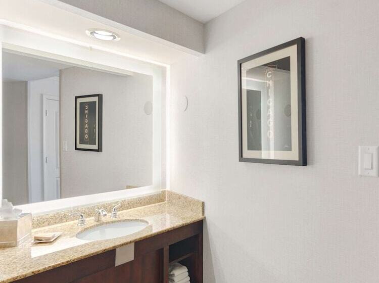 اتاق استاندارد با 2 تخت دوبل, Hilton Chicago/oak Lawn