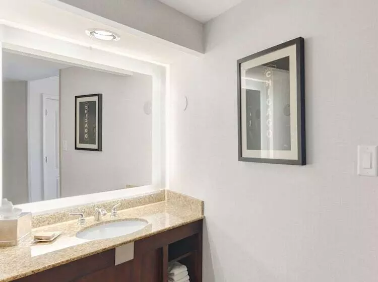 2ダブルベッドのスタンダードルーム, Hilton Chicago/oak Lawn