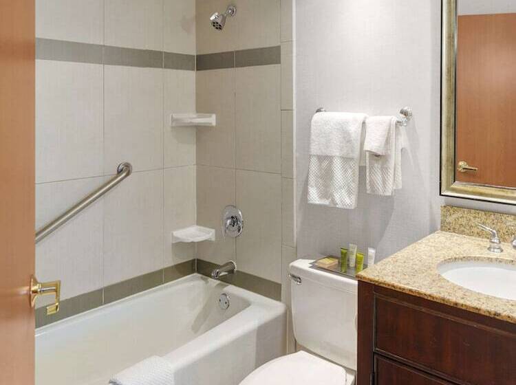 اتاق استاندارد با 2 تخت دوبل, Hilton Chicago/oak Lawn
