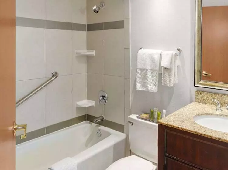 2ダブルベッドのスタンダードルーム, Hilton Chicago/oak Lawn