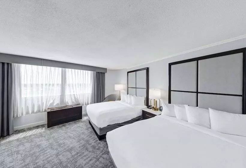 2ダブルベッドのスタンダードルーム, Hilton Chicago/oak Lawn