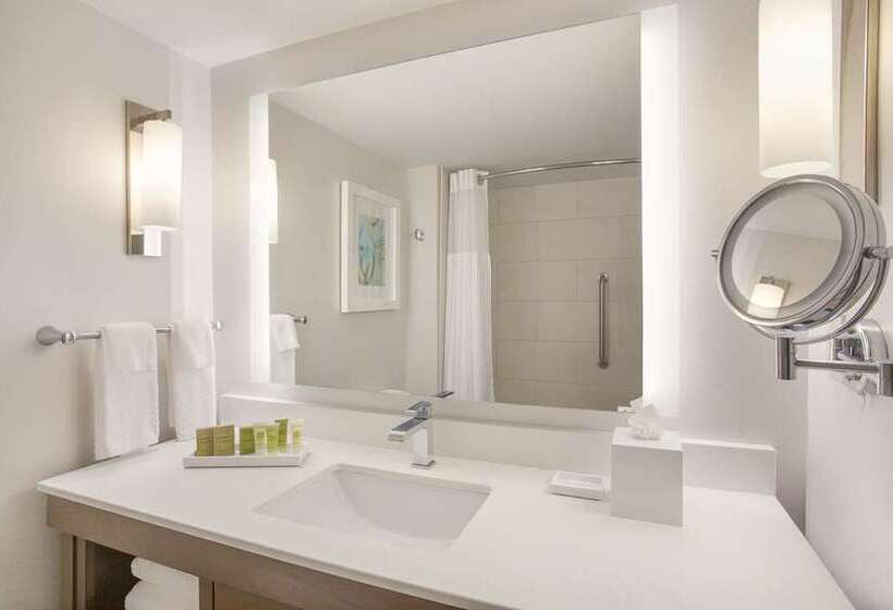 מיטת קינג בסוויטה, Hilton Greenville