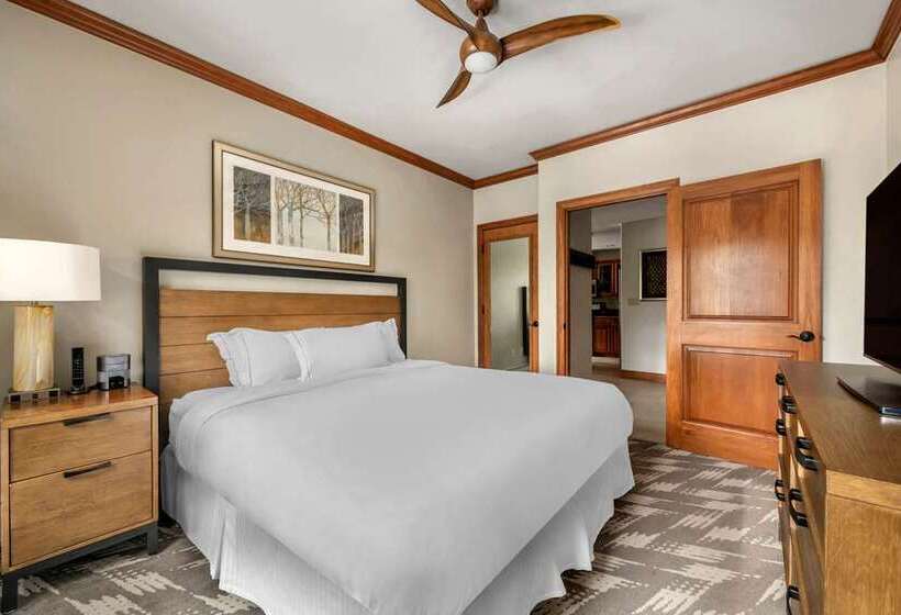 מיטת קינג בסוויטה, Hilton Greenville