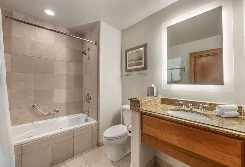 מיטת קינג בסוויטה, Hilton Greenville