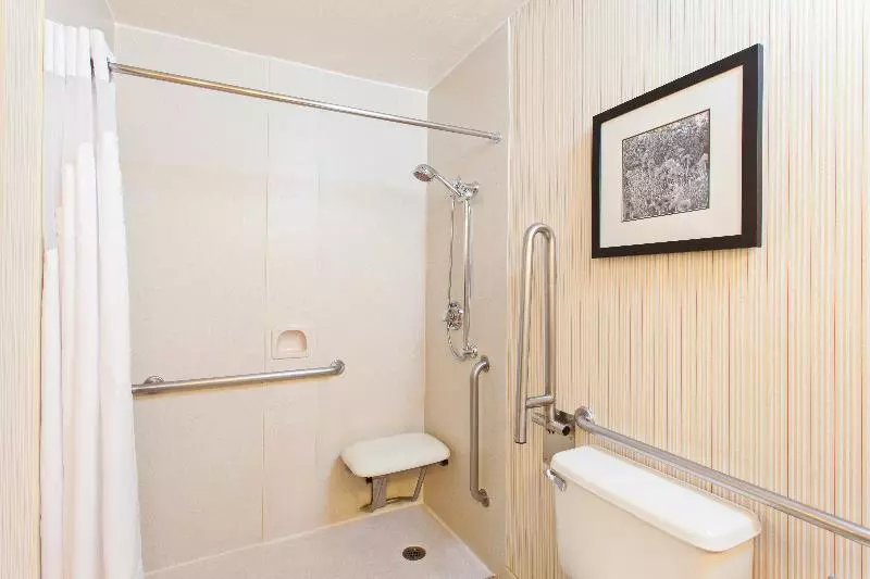 اتاق استاندارد با تخت بزرگ برای معلولان, Holiday Inn Sacramento Downtown Arena, An Ihg