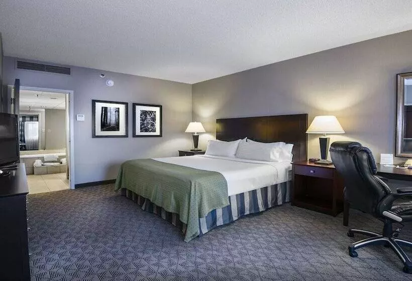 スイート, Holiday Inn Springdale Fayetteville Area By Ihg