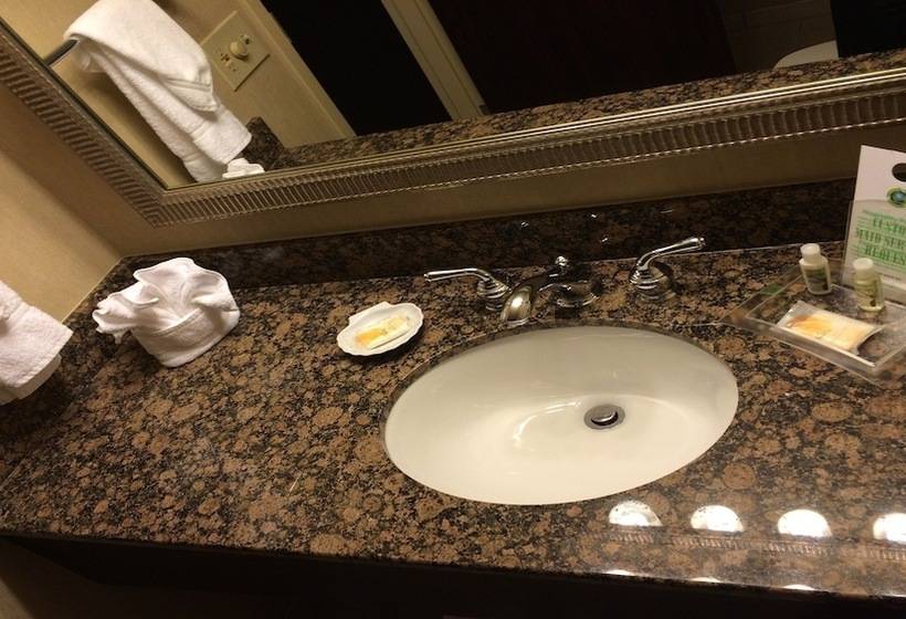 غرفة قياسية, Holiday Inn Springdale Fayetteville Area, An Ihg