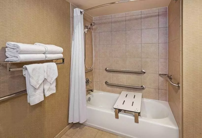 身障者適用スイートルーム, Holiday Inn Springdale Fayetteville Area By Ihg