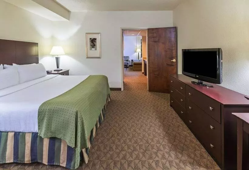 身障者適用スイートルーム, Holiday Inn Springdale Fayetteville Area By Ihg