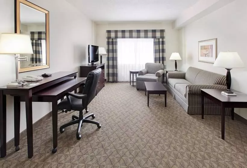 身障者適用スイートルーム, Holiday Inn Springdale Fayetteville Area By Ihg
