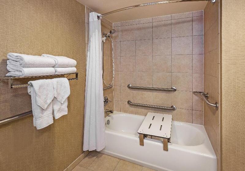 غرفة قياسية سرير كينج, Holiday Inn Springdale Fayetteville Area, An Ihg