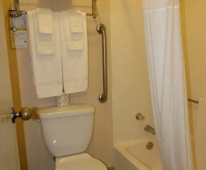 اتاق استاندارد با 2 تخت دوبل, Quality Inn Grand Junction Near University