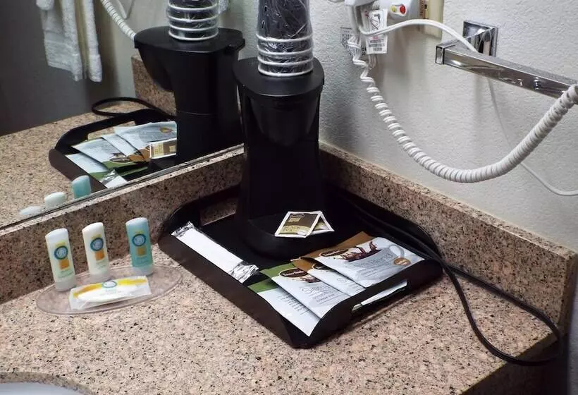 اتاق استاندارد با 2 تخت دوبل, Quality Inn Grand Junction Near University