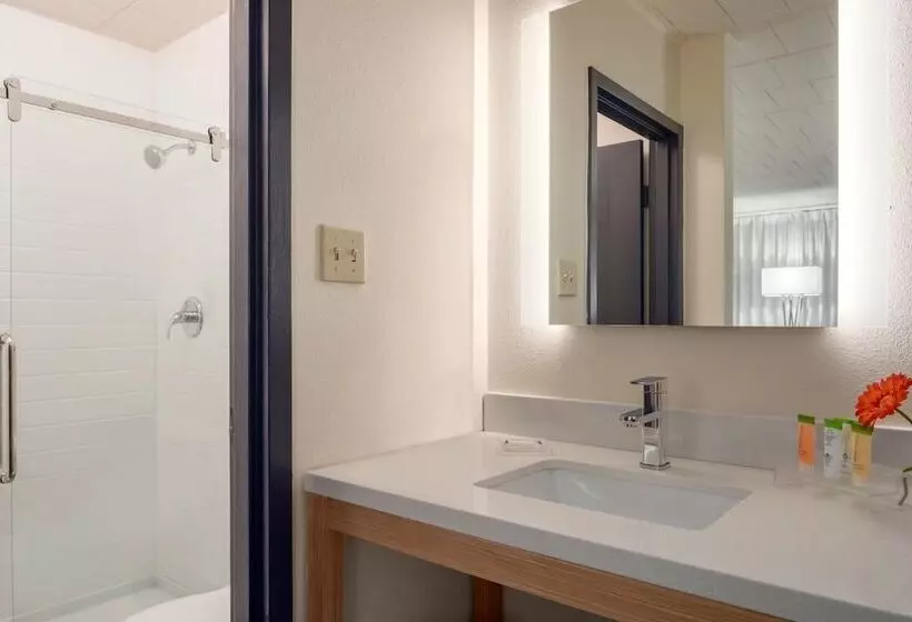 障害者適応デラックスルーム, Ramada By Wyndham Indiana
