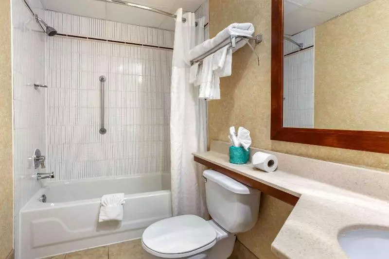 キングサイズベッドのデラックスルーム, Ramada By Wyndham Indiana