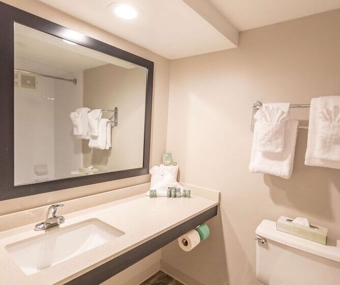 스탠다드 룸 더블 침대 2개, Surestay Plus Hotel By Best Western Lehigh Valley