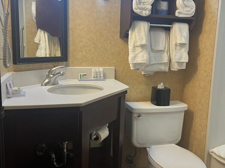 Номер Стандарт, Spark By Hilton Colorado Springs I 25 Central