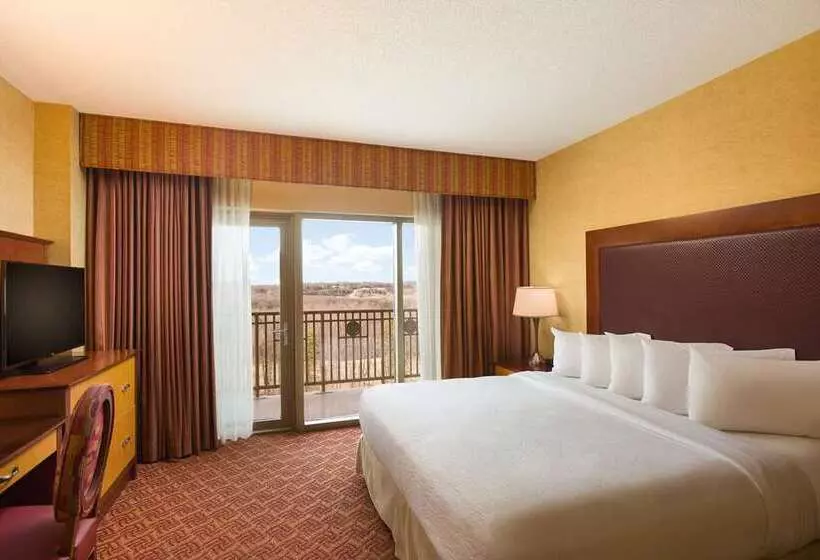 プレミアムスイート２ベッドルーム, Embassy Suites Hotel Winston Salem
