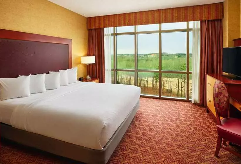 プレミアムスイート２ベッドルーム, Embassy Suites Hotel Winston Salem