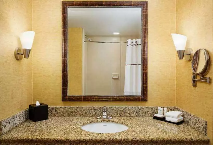 プレミアムスイート２ベッドルーム, Embassy Suites Hotel Winston Salem