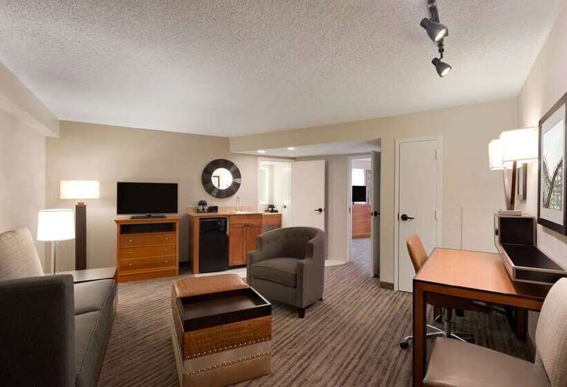 جناح سرير كينج, Embassy Suites Hotel Winston Salem
