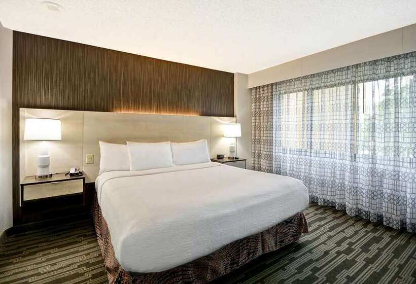 Люкс Кровать Кинг, Embassy Suites Hotel Winston Salem