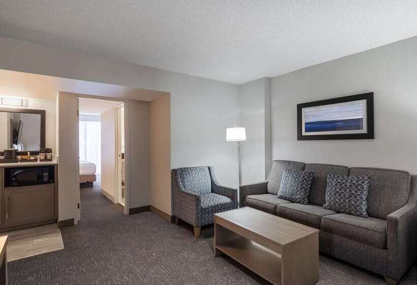 جناح سرير كينج, Embassy Suites Hotel Winston Salem