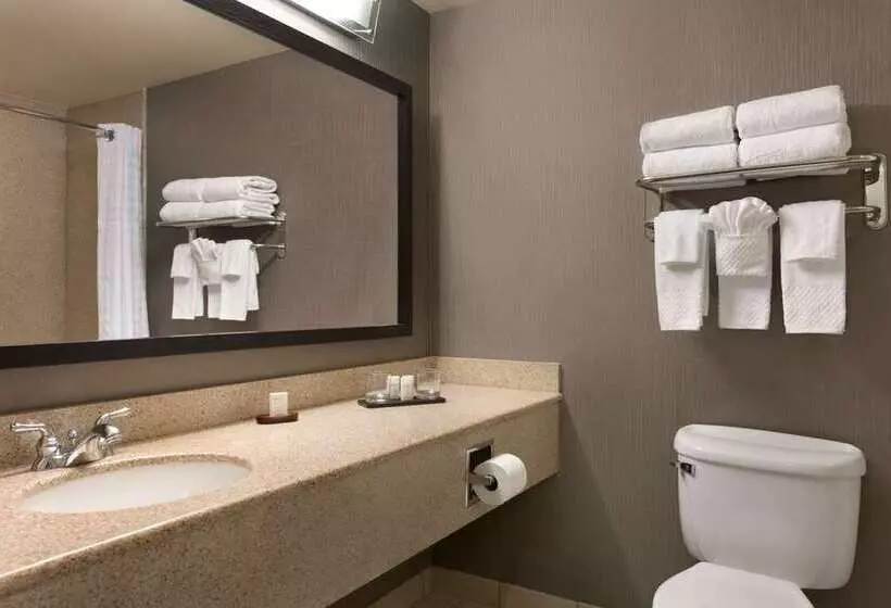 سوییت, Embassy Suites Hotel Winston Salem