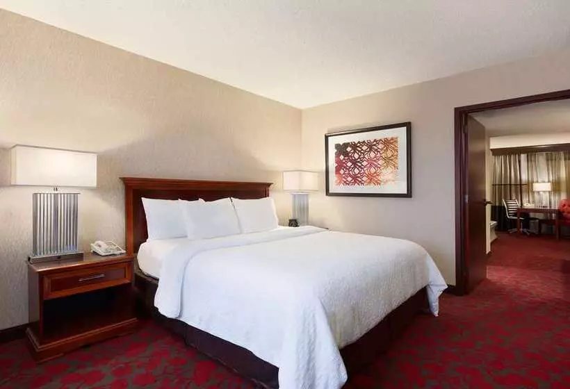 سوئیت با تخت بزرگ, Embassy Suites Hotel Winston Salem