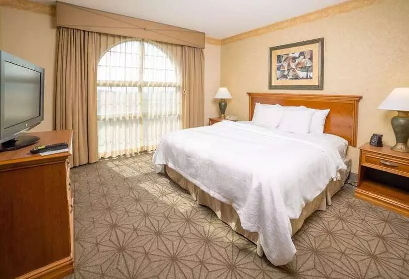سوئیت با تخت بزرگ, Embassy Suites Hotel Winston Salem
