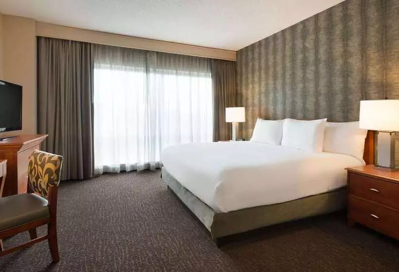 سوئیت با تخت بزرگ, Embassy Suites Hotel Winston Salem