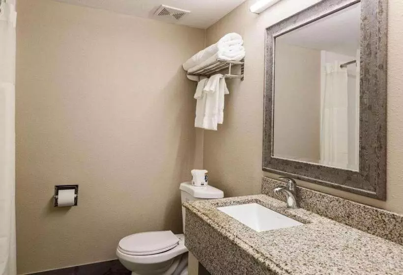 Deluxe-huone King-vuode, Pocono Inn & Banquet   Stroudsburg