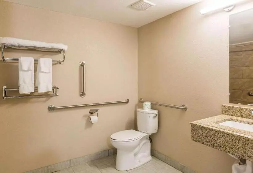 Deluxe-huone King-vuode, Pocono Inn & Banquet   Stroudsburg