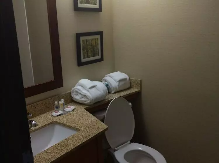 ２ダブルベッドのスタンダードルーム, Comfort Inn & Suites Near Danville Mall