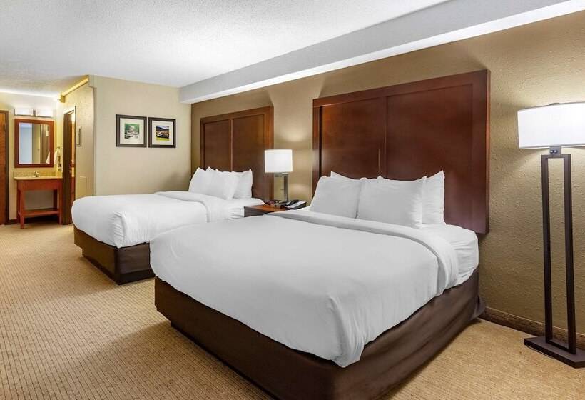 Номер Стандарт 2 Двуспальные Кровати, Comfort Inn & Suites Near Danville Mall