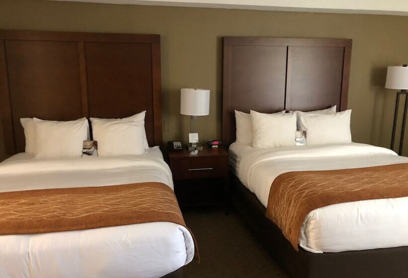 غرفه قياسيه سريرين مزدوجين, Comfort Inn & Suites Near Danville Mall