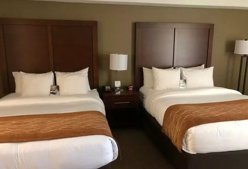 ２ダブルベッドのスタンダードルーム, Comfort Inn & Suites Near Danville Mall