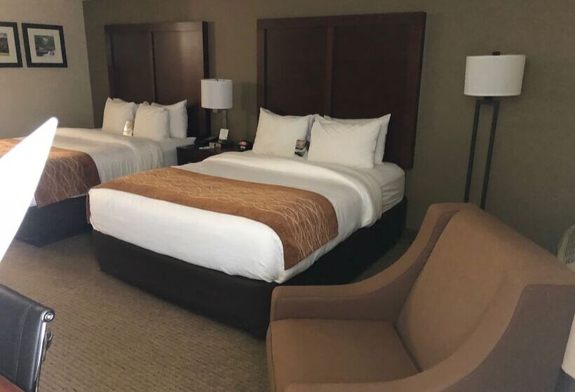 غرفه قياسيه سريرين مزدوجين, Comfort Inn & Suites Near Danville Mall