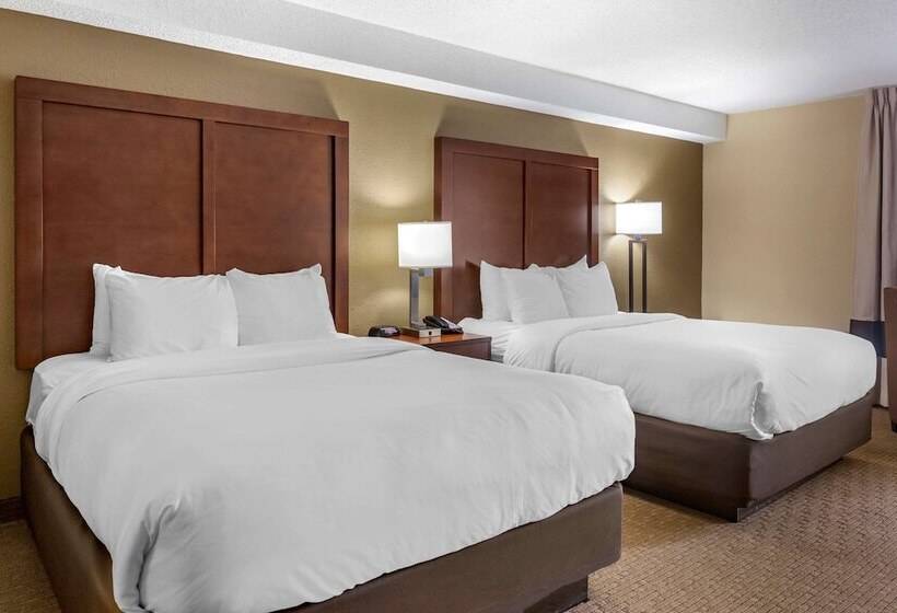 غرفه قياسيه سريرين مزدوجين, Comfort Inn & Suites Near Danville Mall