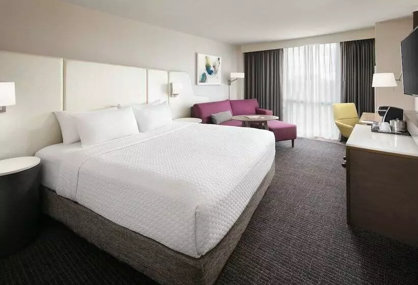 اتاق استاندارد, Crowne Plaza Houston Med Ctr Galleria Area, An Ihg