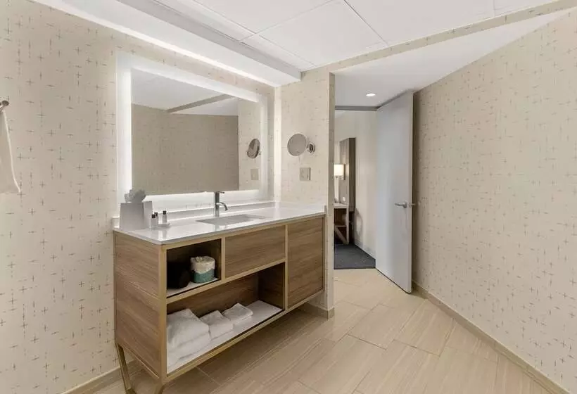 סוויטה, Crowne Plaza Houston Med Ctr Galleria Area By Ihg