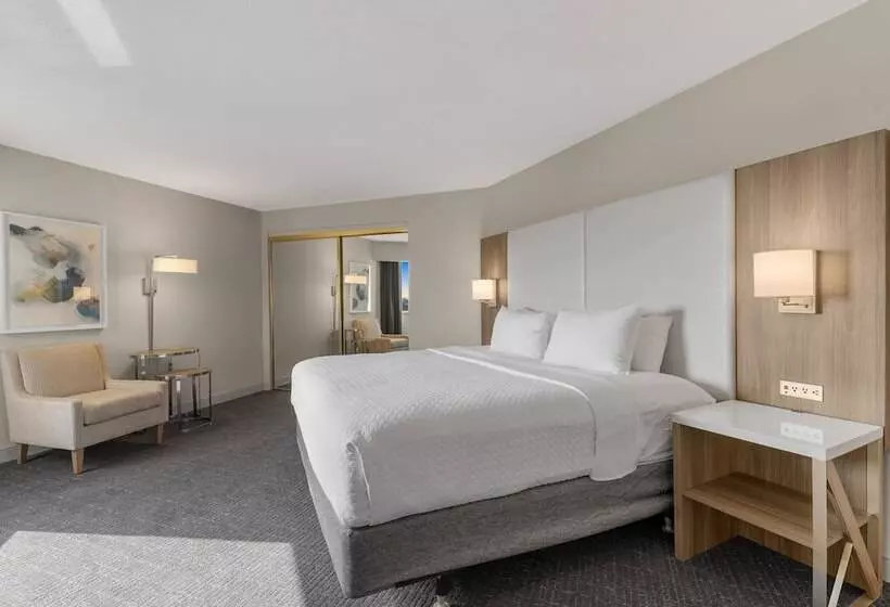 سوییت جونیور, Crowne Plaza Houston Med Ctr Galleria Area, An Ihg