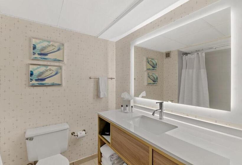 Стандартный Номер Кровать Кинг, Crowne Plaza Houston Med Ctr Galleria Area, An Ihg