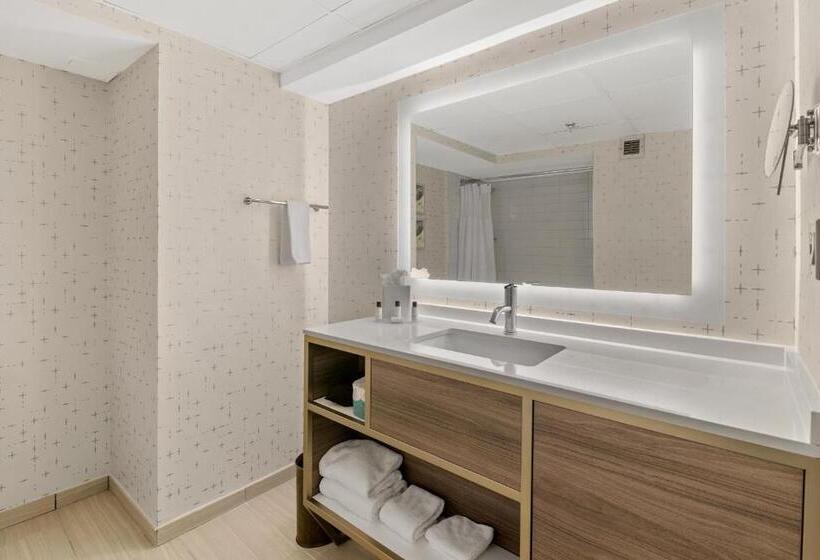 キングサイズベッドのスタンダードルーム, Crowne Plaza Houston Med Ctr Galleria Area, An Ihg