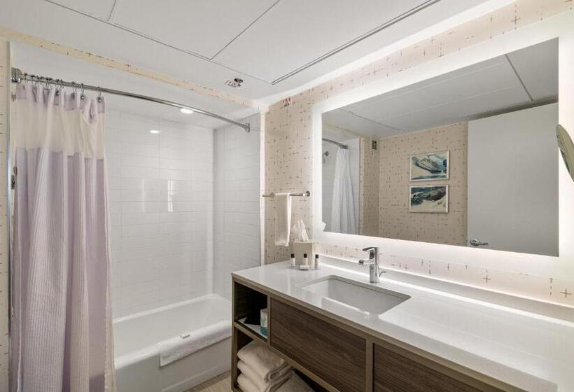 Стандартный Номер Кровать Кинг, Crowne Plaza Houston Med Ctr Galleria Area, An Ihg