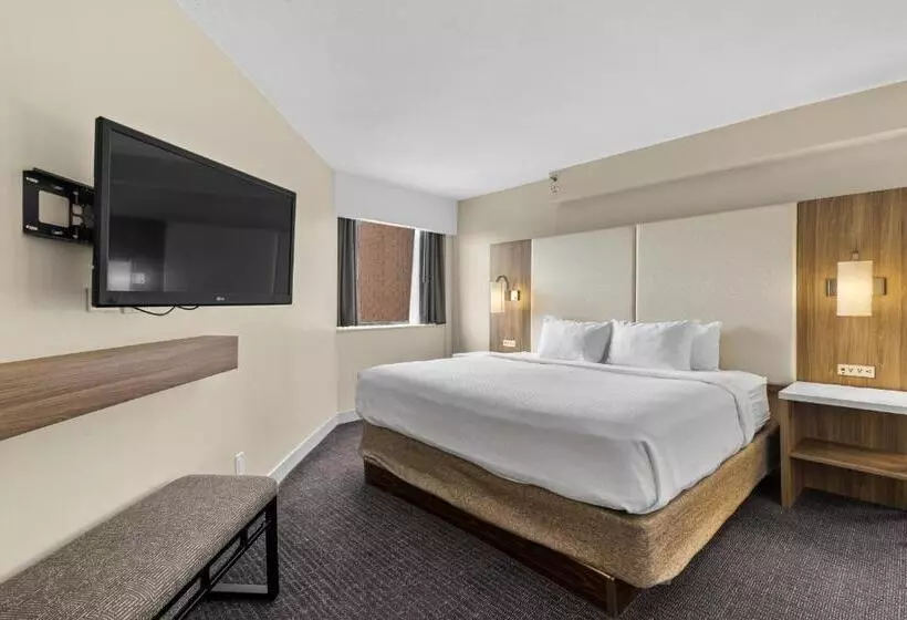 سوییت لوکس, Crowne Plaza Houston Med Ctr Galleria Area, An Ihg
