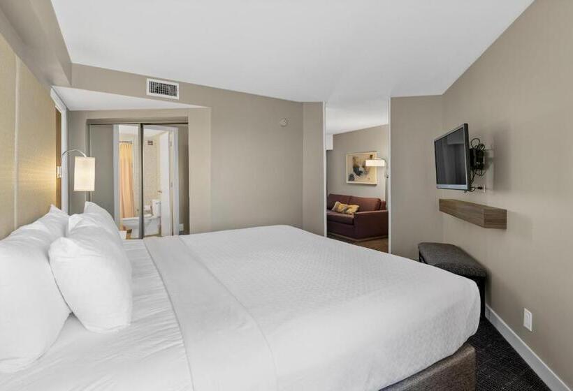 Люкс Повышенной Комфортности, Crowne Plaza Houston Med Ctr Galleria Area, An Ihg