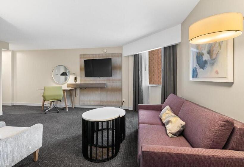ジュニアスイート, Crowne Plaza Houston Med Ctr Galleria Area, An Ihg